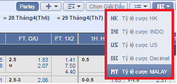 Một số suy nghĩ sai lầm khi chơi cá cược trực tuyến