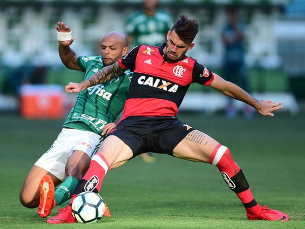 Soi kèo Palmeiras - Colo Colo