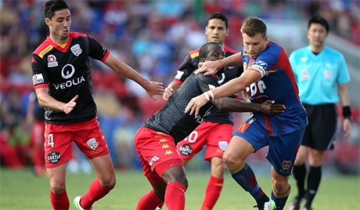 Soi kèo Adelaide - Newcastle Jets, 15h30 ngày 23/3