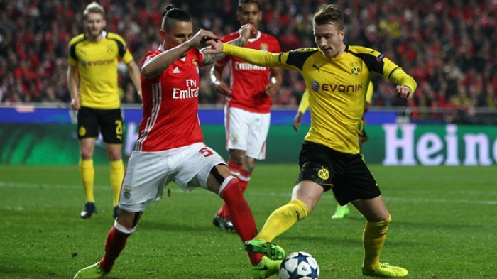 Soi kèo Dortmund – Benfica, 07h00 ngày 26/7