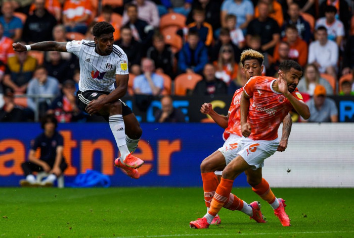 Soi kèo, dự đoán Fulham vs Blackpool, 22h00 ngày 29/1 - Hạng nhất Anh